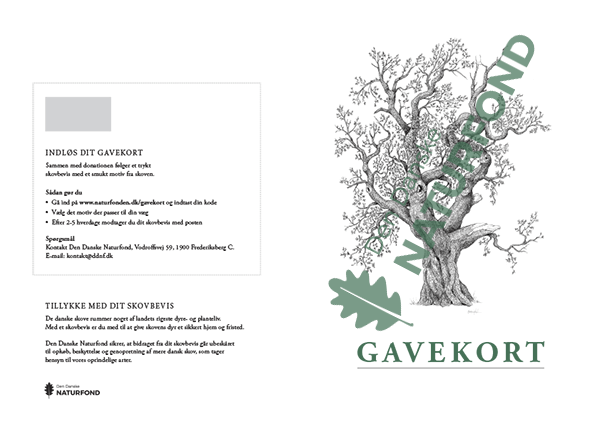 Eksempel på skovbevis